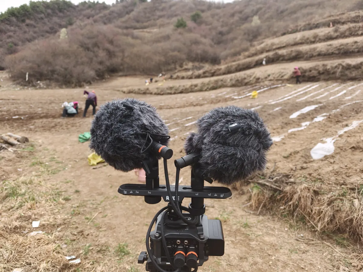 环境、动作、自然声与真实空间